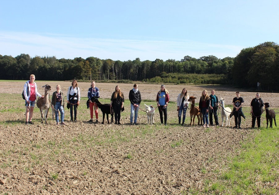 Wanderung mit Lamas